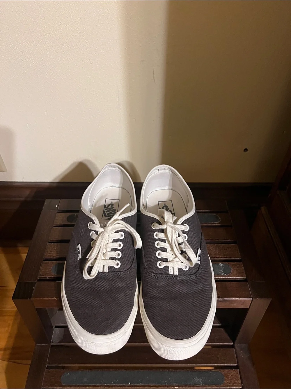 Vans Black Canvas Low-Top Sneakers with White Accents